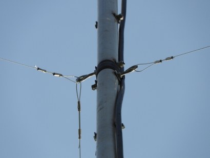 11 m Band Cobwebb antenna centred at 27.500 MHz: Steel wire guys