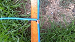 11 m Band Hentenna centred at 27.500 MHz: Temporary feeder connection